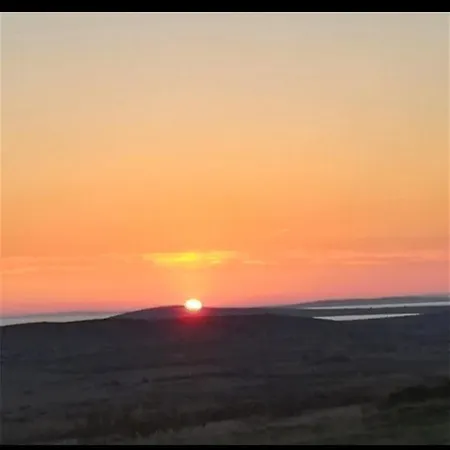 Sunshine Vrcici